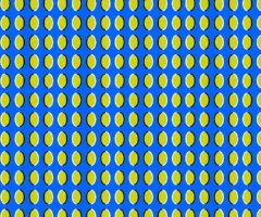 goz_yanilmalari_sineklik.webp