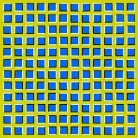 goz_yanilmalari_dalgalanma.webp