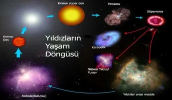 Yıldızlar ve yaşamları