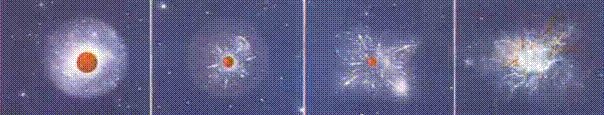 yildizres.gif