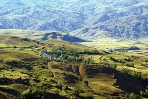 Erzurum Bitki Örtüsü