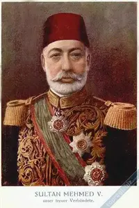 Sultan-5.Mehmed-1917_5547286d02a89cdc.webp