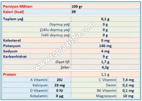 Soğanın Kimyasal Değerleri