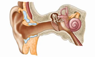 Kulak zarı ne işe yarar? Kulak zarı nasıl patlar?