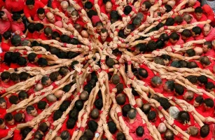 [B]Castellers Festivali[/B]