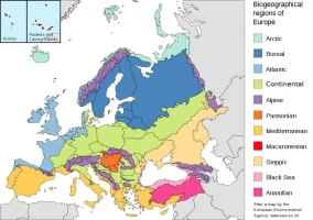 Avrupa Biyocoğrafya bölgeleri