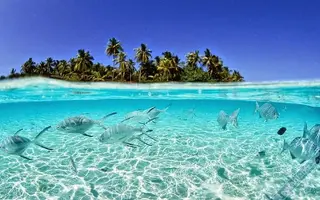tuvaluc691188695008682.webp