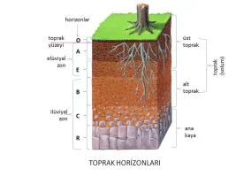 Toprak nedir ? Toprak çeşitleri ve Katmanları nelerdir?