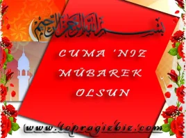 pw3mkksa.webp