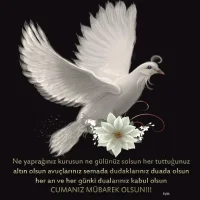 822cf830-b976-4da0-8f36-bdc98c3b0bdd_zps67a7718f.webp