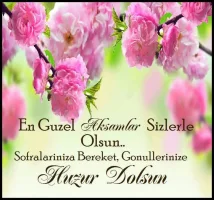 1274211648.webp