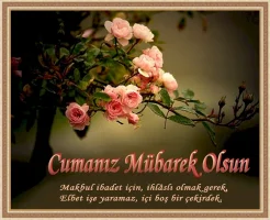 hayc4b1rlc.webp
