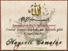 ujldsyfl.webp