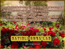 5mdbirmc.webp