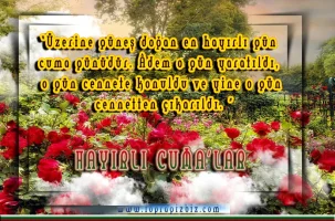ypd3a6ez.webp