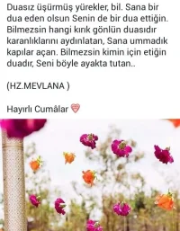 v296y94b.webp