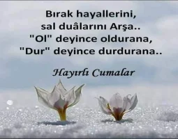 2cpl48dm.webp