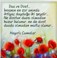 4t2b5663.webp
