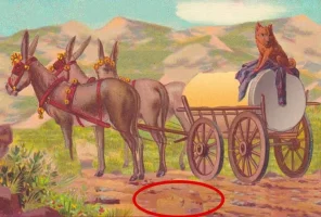 1766703_8_1491290653D8akO.webp
