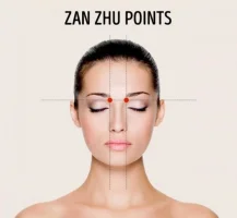 zan_zhu_zpsjw5j6w3g.webp