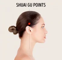 shuai_gu_zpsmnhqrcdv.webp