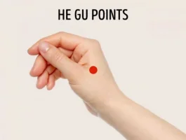 he_gu_zps2cexsxs5.webp