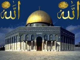 zn5mh5n8.webp