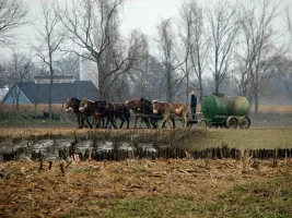 Amish_4_zpsmj6f8eut.webp
