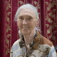 Jane Goodall