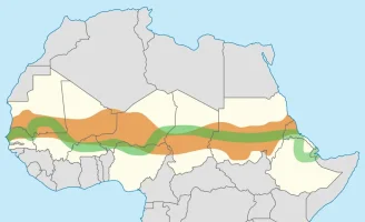 Büyük Yeşil Duvar Projesi