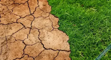 Toprağı Verimli Hale Getirmek İçin Yapılan Uygulamalar Ve Yöntemler