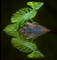 doga-fotorafı-4.webp