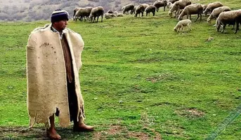 Türk Çoban Kültürü