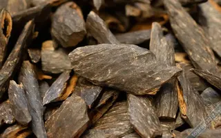 Agarwood Nedir ve Neden Bu Kadar Pahalıdır 3.webp