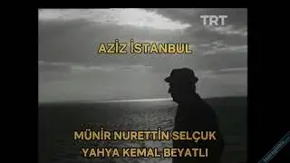 Münir Nurettin Selçuk - Sana dün bir tepeden baktım
