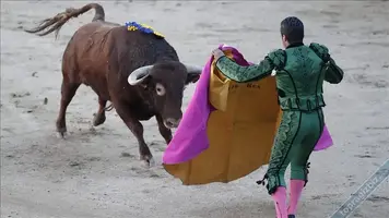 Boğa Güreşinin Karanlık Yüzü ve Bilinmeyen Gerçekler