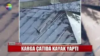 Karganın Çatıda Kayak Keyfi