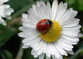 1lg8ow0.webp