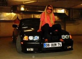 24112013114293232.webp