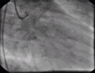 anjiyo4.gif