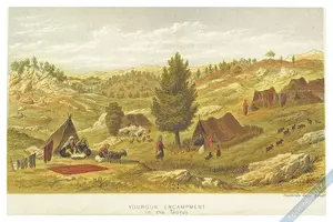 yoruk-toros-1879.webp