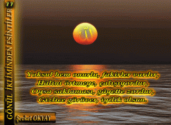 11_zpse873dc89.gif