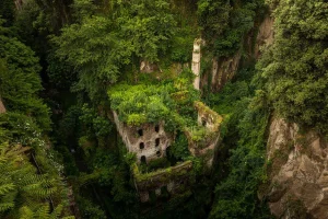 naturemnm.webp