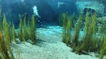 Sakarya Nehri'nin Kaynağı Görüntülendi