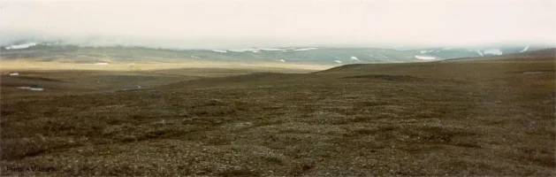 Tundra Nedir?