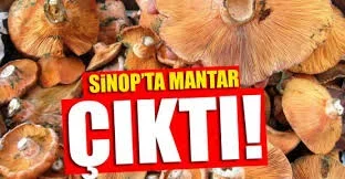 TzkBl6ZcISlFzeQWKpdcSWQuBeC2FbNSWMiXKAcxLXCmVPfNjE.webp