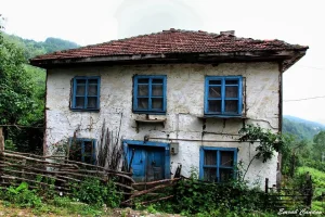 doga10_zps3efda9a6.webp