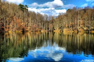 doga12_zps1f72b298.webp