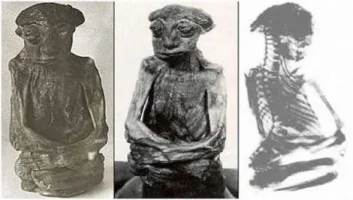 pedro-dagindaki-mumya.webp