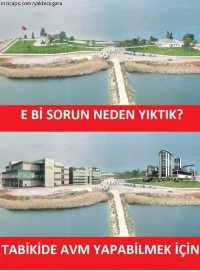 12.webp
